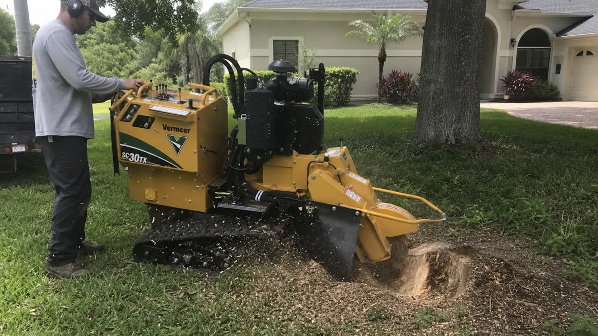 Stump grinding in progress The Villages area Florida